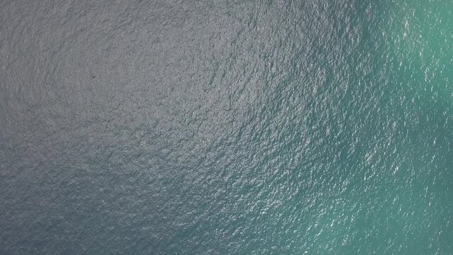 Ilha Arvoredo Floripa Florian&oacute;polis Drone Santa Catarina Biodiversidade Conserva&ccedil;&atilde;o Mergulho Preserva&ccedil;&atilde;o Natureza Ecossistema Fauna Turismo Ambiental Marinha Costeira Snorkeling Pesquisa Cient&iacute;fica