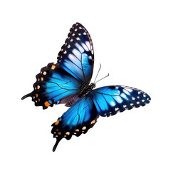 Cyan blue butterfly flying transparent background