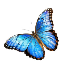 Naklejka premium Cyan blue butterfly flying transparent background