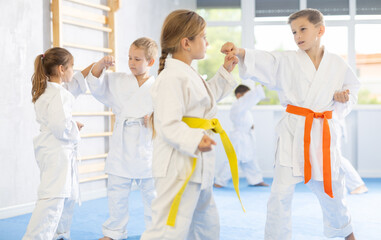 Fototapeta na wymiar Young karate students engage in sparring match, demonstrating their martial art skills.