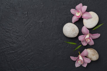 Fototapeta na wymiar Composition with orchids and massage stones on concrete background, top view