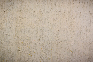 wall plastered under bark beetle 4