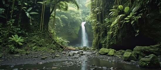 Majestic waterfall in the rainforest jungle - obrazy, fototapety, plakaty