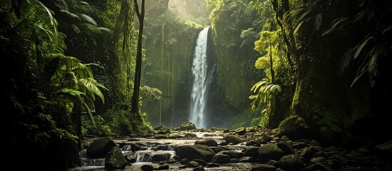 Majestic waterfall in the rainforest jungle - obrazy, fototapety, plakaty