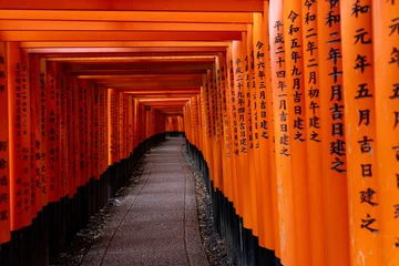 Poster Fushimi Inari Shrine Torii Gates © steve