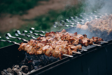 roast pork shish kebab on skewers
