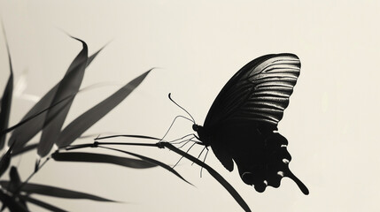 A serene silhouette of a butterfly with long, sweeping tails on its wings, resting on a piece of...