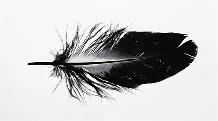 Obraz premium A silhouette of a feather, its fine details and texture highlighted against a white background. The image offers a sense of lightness and the intricate design of nature.