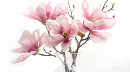 Fototapeten Bouquet of sprigs of blooming pink artificial magnolia in clear glass vase © Ziyan