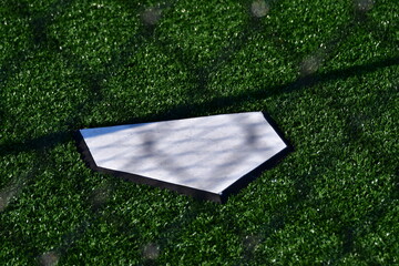 Home Plate on Artificial Turf