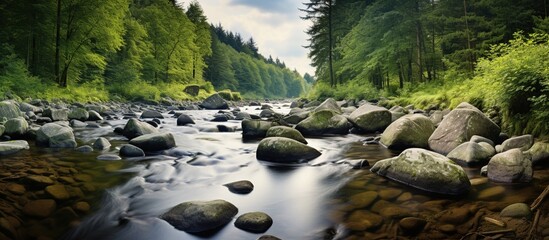 Beautiful landscape with a river and stones in the forest. Panorama. - obrazy, fototapety, plakaty