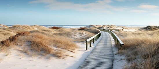 wooden walkway through the dunes in the Netherlands
