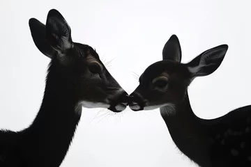 Tuinposter Doe and fawn silhouette, tender moment as they touch noses, on solid white backdrop. © Qayyum
