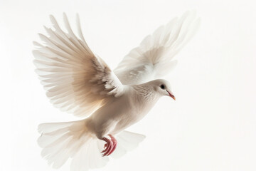 Fototapeta premium Ethereal White Dove in Flight with Wings Spread on a Light Background