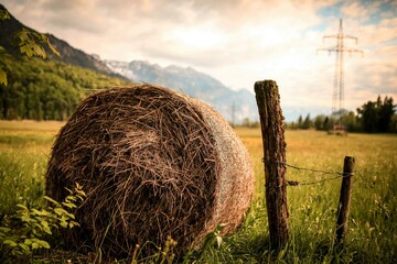 hay bales in the field - Powered by Adobe