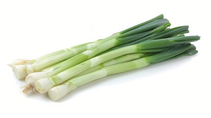 Single fresh leek isolated on white background for optimal visibility and search relevance