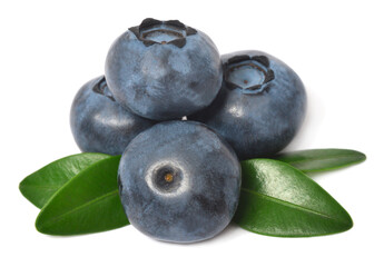 Blueberry macro with leaves isolated on white background