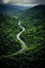 highway in the middle of the forest, bird's eye view Generative AI