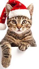 Cute kitten in red christmas hat peeking out playfully from behind an empty blank banner
