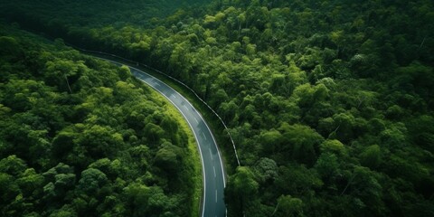 highway in the middle of the forest, bird's eye view Generative AI