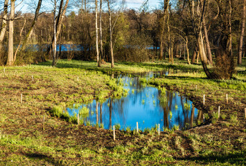 Spring scene on a sunny day by the lake of the Katzenseen nature reserve, Regensdorf, Switzerland.