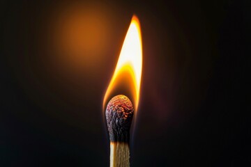 A matchstick with a flame on it