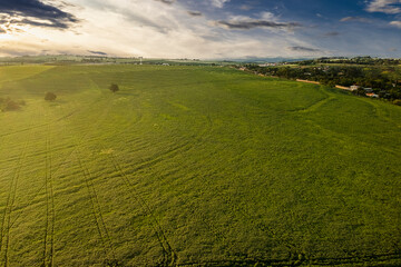 Fototapeta na wymiar Aerial view of a still green soybean plantation, on a farm in the rural area, in Brazil