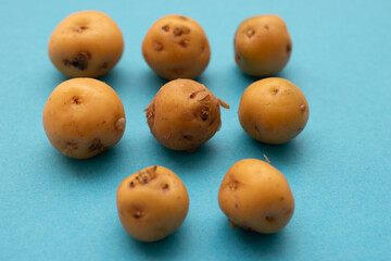 fruit, food, orange, fresh, isolated, healthy, ripe, apricot, white, yellow, sweet, organic, diet, juicy, nature, fruits, vitamin, citrus, apple, freshness, vegetarian, nutrition, apricots, dessert, o