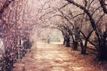 Pink cherry blossom petals falling in a park with a stone path and stone walls, pink and white colors, photorealism, exterior, impressionism