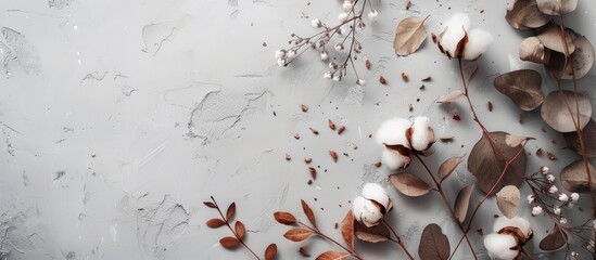 Eucalyptus branches, cotton flowers, and dried leaves arranged on a pastel grey background in a composition depicting autumn. Flat lay view with copy space.