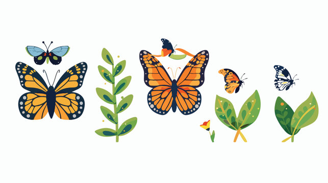 Illustration of Cartoon butterfly life cycle 
