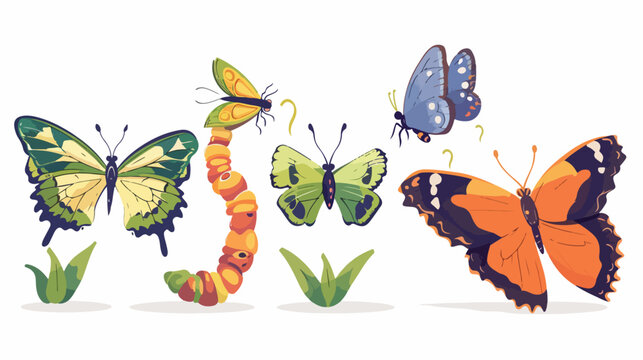 Illustration of Cartoon butterfly life cycle 