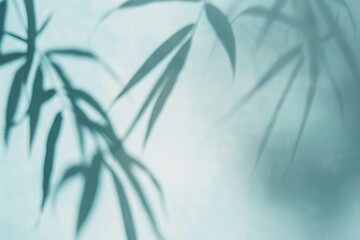 Blurred shadow from palm leaves blue wall background