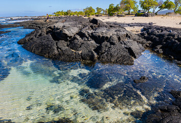 Tide Pools On The Volcanic Shoreline, Kohanaiki Beach Park, Hawaii, USA