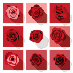 A row of red roses with a white background
