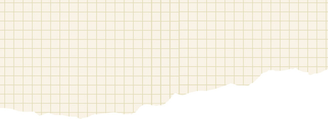 Ripped Graph Paper