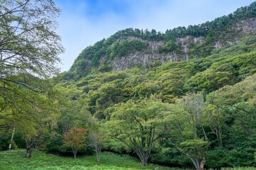 Fototapeta na wymiar 青空バックに見る屏風岩公苑の情景