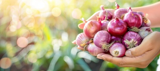Hand holding red onion with blurred background selection, copy space for text placement