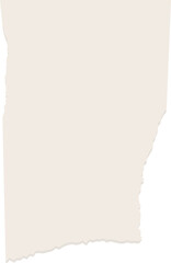 Obraz premium Ripped Paper