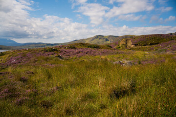 Old Man of Storr, Isle of Skye, Scotland