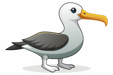 Albatross vector with white background.