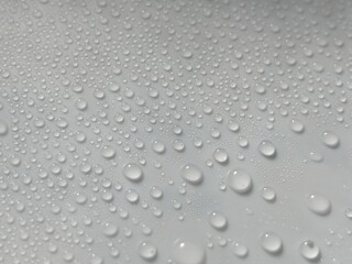 水玉