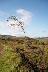 Old Man of Storr, Isle of Skye, Scotland