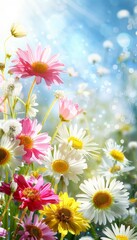 Obraz premium Spring meadow with white and pink daisies, yellow dandelions under sunny blue sky, copy space