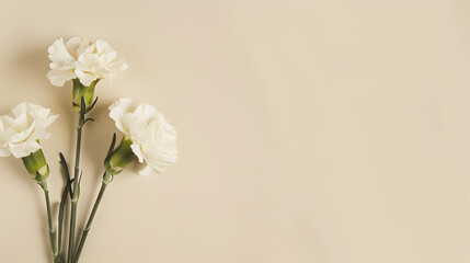 bunch of white carnations on right side of pastel cream colored background with copy space