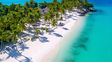 Beautiful panoramic aerial view of a tropical island with palm trees and turquoise ocean - obrazy, fototapety, plakaty