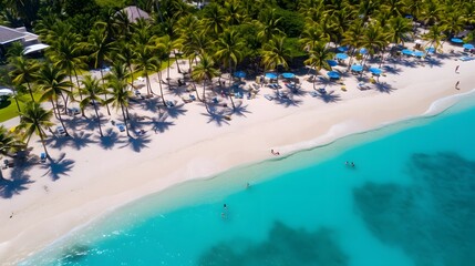 Aerial view of beautiful tropical beach with white sand, turquoise water and palm trees.