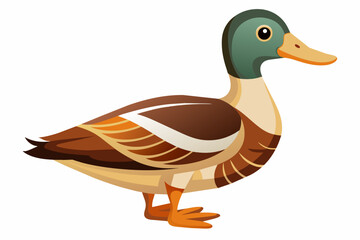 duck-with-white-background.