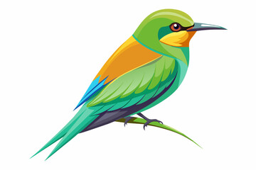 Green bee-eater vector with white background.