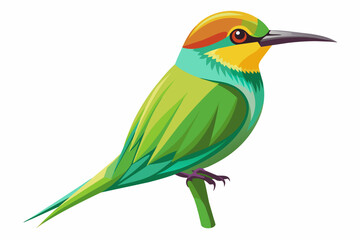 Green bee-eater vector with white background.